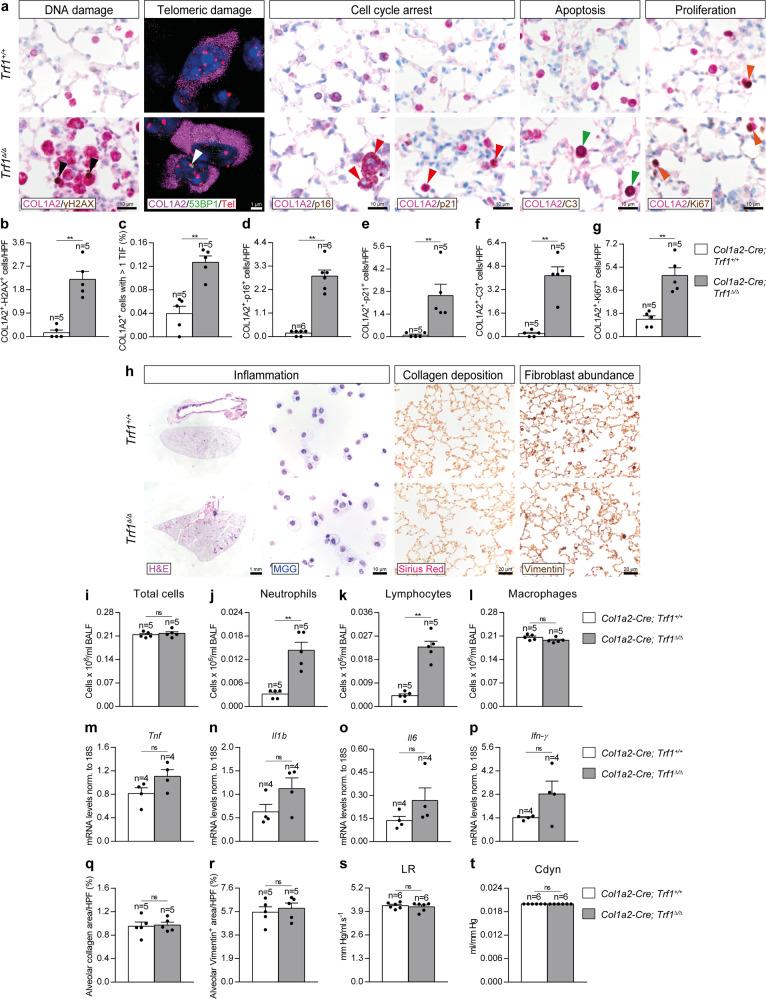 https://cdn.ncbi.nlm.nih.gov/pmc/blobs/fe52/9537293/12ed2337240d/41467_2022_32771_Fig2_HTML.jpg
