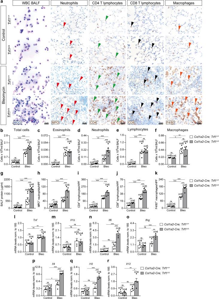https://cdn.ncbi.nlm.nih.gov/pmc/blobs/fe52/9537293/4fc19c612740/41467_2022_32771_Fig4_HTML.jpg