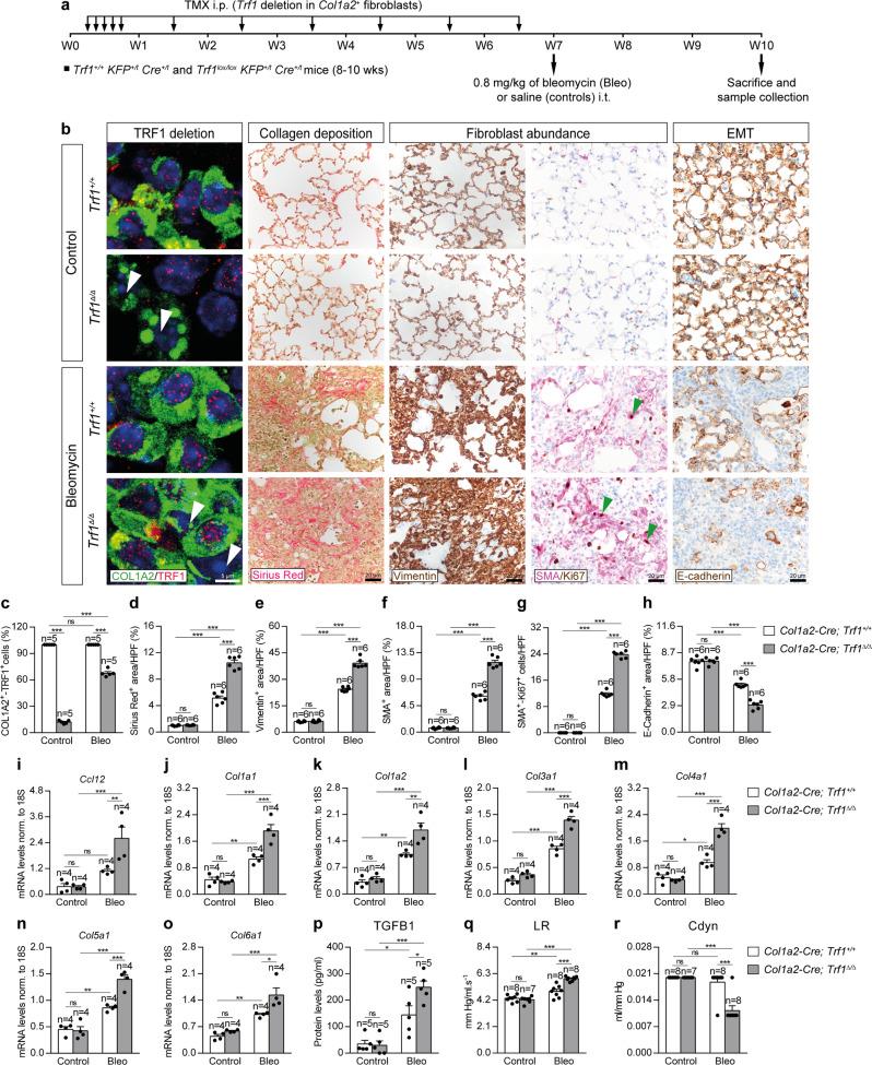 https://cdn.ncbi.nlm.nih.gov/pmc/blobs/fe52/9537293/83ad4be2f03c/41467_2022_32771_Fig3_HTML.jpg