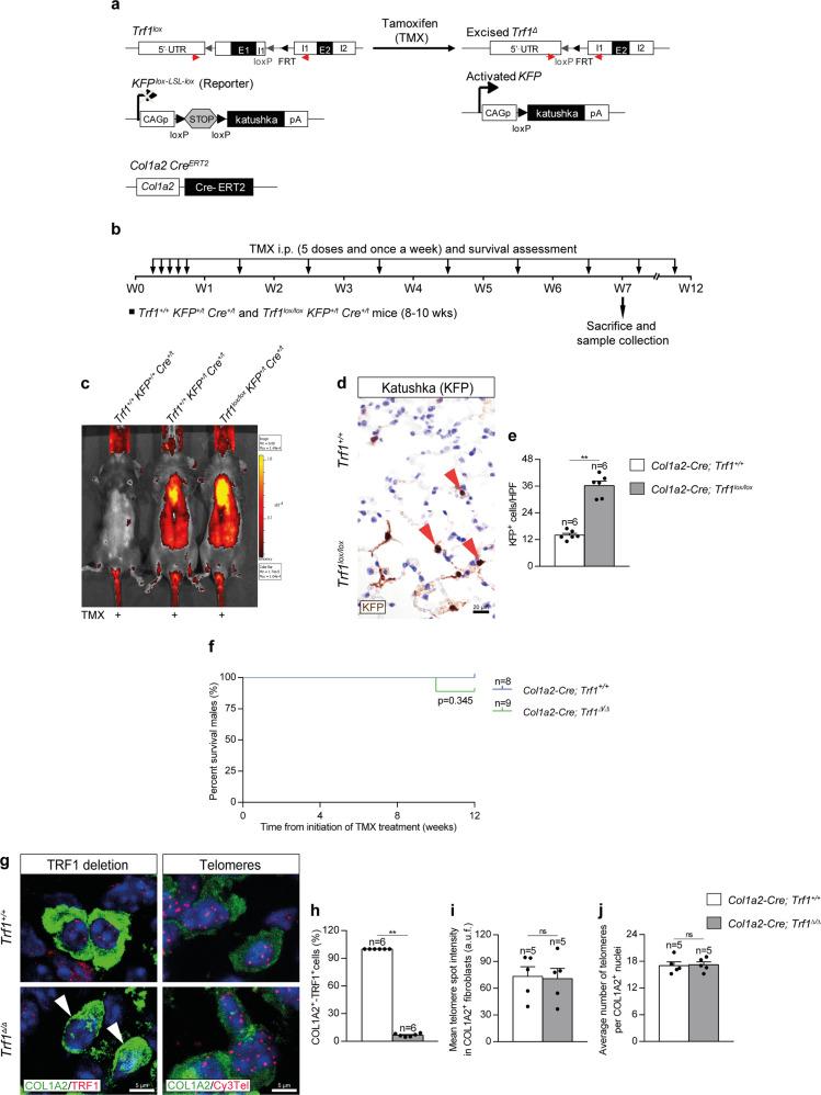 https://cdn.ncbi.nlm.nih.gov/pmc/blobs/fe52/9537293/ac61939779c2/41467_2022_32771_Fig1_HTML.jpg