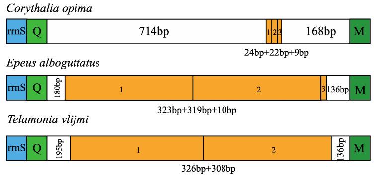 https://cdn.ncbi.nlm.nih.gov/pmc/blobs/fe53/10299072/d74cc26686db/insects-14-00517-g007.jpg