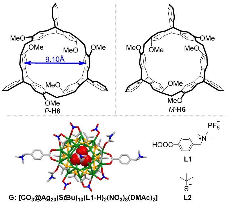 https://cdn.ncbi.nlm.nih.gov/pmc/blobs/fe54/9230552/6fdfe1b49795/molecules-27-03932-g001.jpg