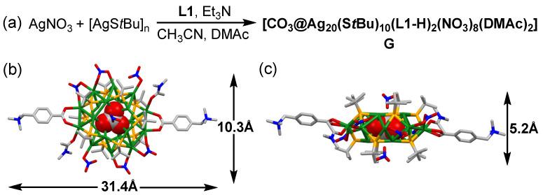https://cdn.ncbi.nlm.nih.gov/pmc/blobs/fe54/9230552/ef3919861e55/molecules-27-03932-g002.jpg