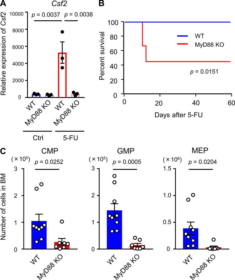 https://cdn.ncbi.nlm.nih.gov/pmc/blobs/fe56/7941180/2dbe952add77/JEM_20200817_Fig6.jpg
