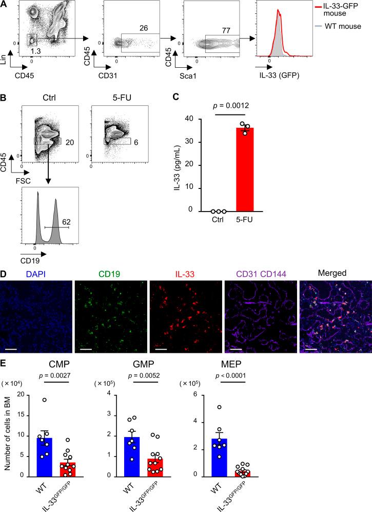 https://cdn.ncbi.nlm.nih.gov/pmc/blobs/fe56/7941180/8258314def89/JEM_20200817_FigS4.jpg