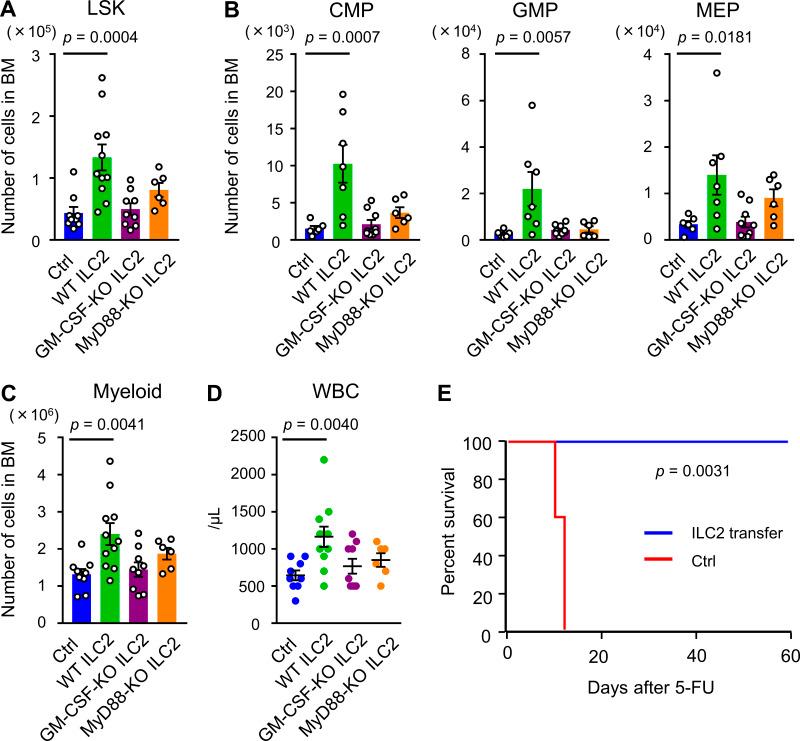 https://cdn.ncbi.nlm.nih.gov/pmc/blobs/fe56/7941180/ab2e33e2f17f/JEM_20200817_Fig8.jpg