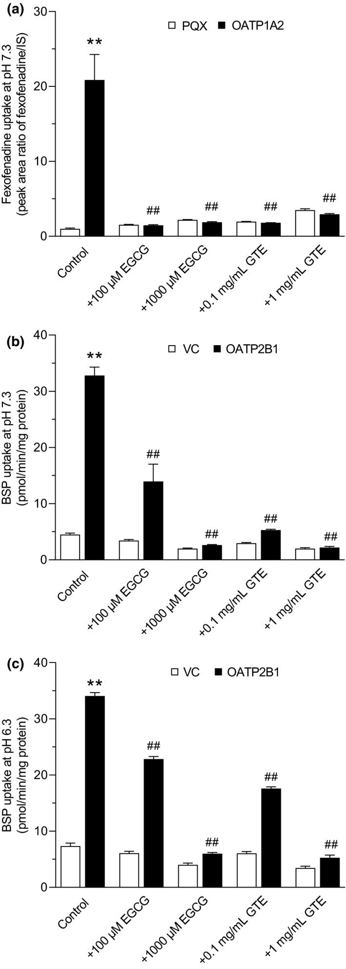 https://cdn.ncbi.nlm.nih.gov/pmc/blobs/fe57/9540489/e4922eb816b0/CPT-112-627-g001.jpg