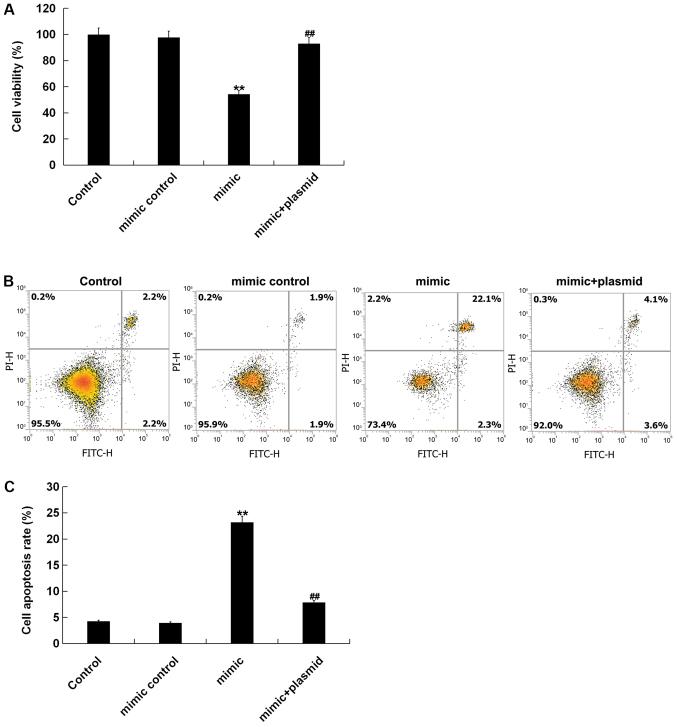 https://cdn.ncbi.nlm.nih.gov/pmc/blobs/fe58/6966120/a51896e52ce8/etm-19-02-1042-g05.jpg