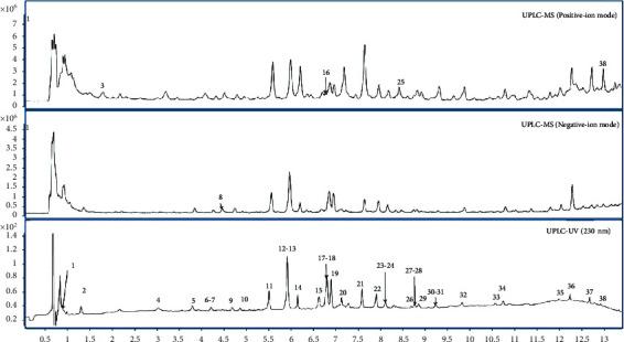 https://cdn.ncbi.nlm.nih.gov/pmc/blobs/fe59/10545464/957d3ce2940f/ECAM2023-6058951.001.jpg