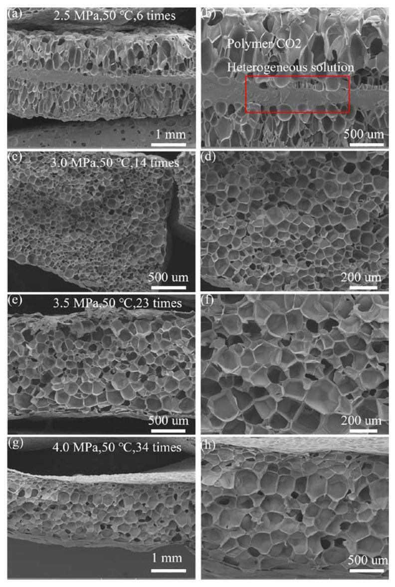 https://cdn.ncbi.nlm.nih.gov/pmc/blobs/fe5a/11243239/7c5f7bef512d/nanomaterials-14-01120-g003.jpg