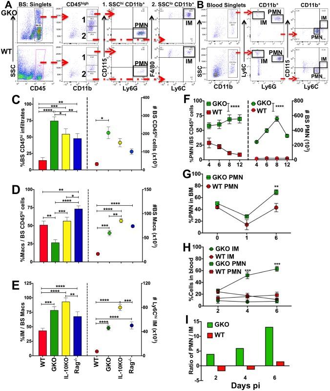 https://cdn.ncbi.nlm.nih.gov/pmc/blobs/fe5a/5792029/d424ea5039ac/ppat.1006822.g003.jpg