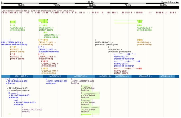 https://cdn.ncbi.nlm.nih.gov/pmc/blobs/fe5b/6439977/0114eaaa7195/IJO-54-05-1651-g08.jpg