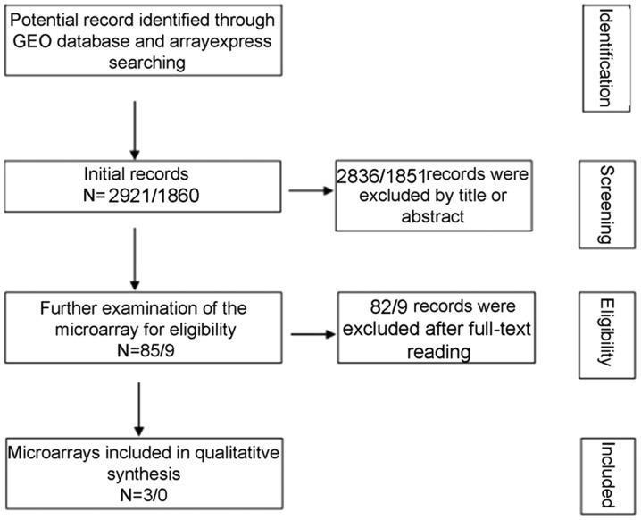https://cdn.ncbi.nlm.nih.gov/pmc/blobs/fe5b/6439977/ed97d08be1f0/IJO-54-05-1651-g02.jpg