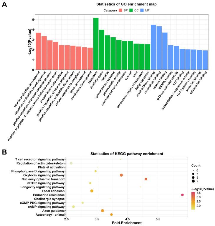https://cdn.ncbi.nlm.nih.gov/pmc/blobs/fe5c/10110479/05c388ff7583/ijmsv20p0627g004.jpg