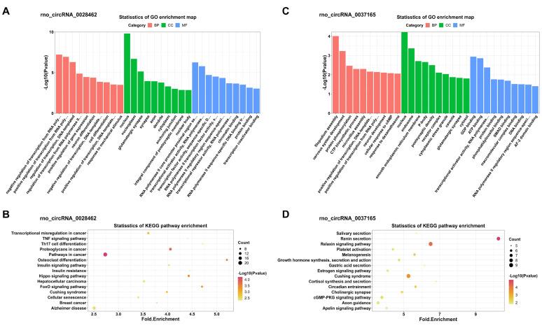 https://cdn.ncbi.nlm.nih.gov/pmc/blobs/fe5c/10110479/578f9c4581bf/ijmsv20p0627g007.jpg