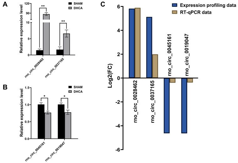 https://cdn.ncbi.nlm.nih.gov/pmc/blobs/fe5c/10110479/7e011ad012df/ijmsv20p0627g005.jpg
