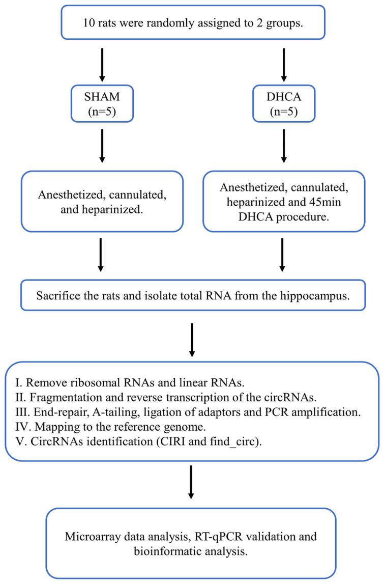 https://cdn.ncbi.nlm.nih.gov/pmc/blobs/fe5c/10110479/c3036d40bd19/ijmsv20p0627g001.jpg