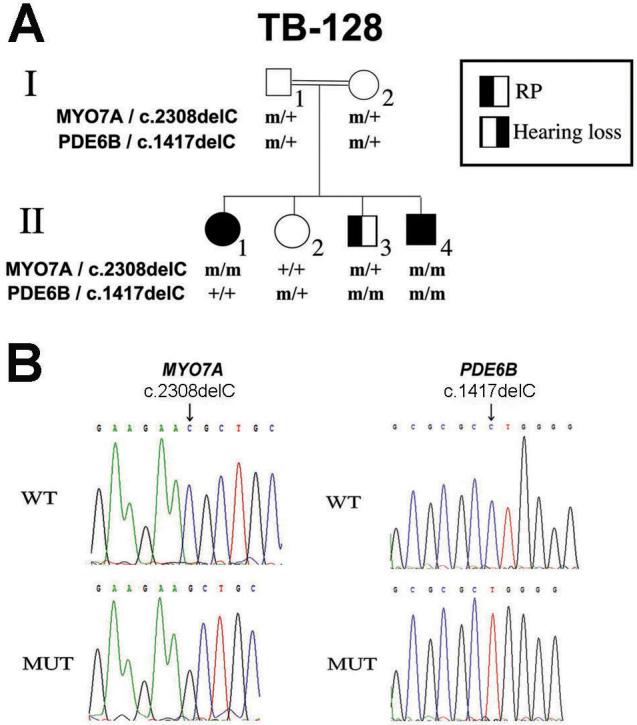 https://cdn.ncbi.nlm.nih.gov/pmc/blobs/fe5d/3718492/7d14092736a2/mv-v19-1565-f1.jpg