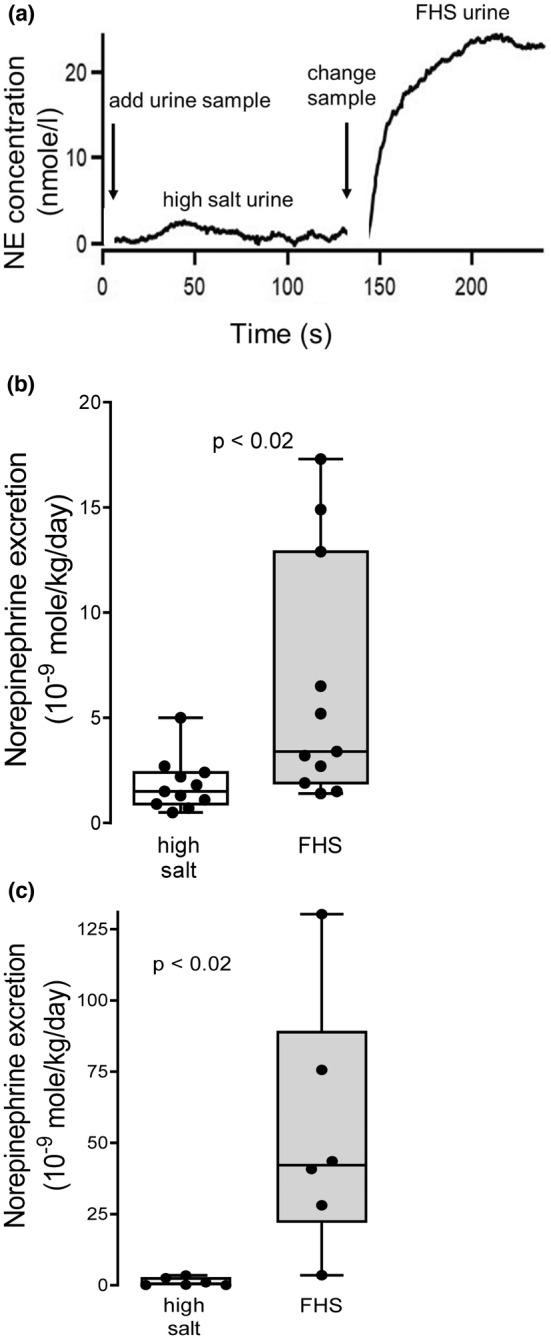 https://cdn.ncbi.nlm.nih.gov/pmc/blobs/fe5d/9535342/11c6d51553b2/PHY2-10-e15489-g002.jpg