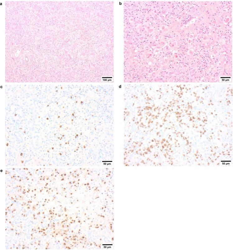 https://cdn.ncbi.nlm.nih.gov/pmc/blobs/fe5e/10191857/1d9facf18261/41586_2023_6003_Fig9_ESM.jpg