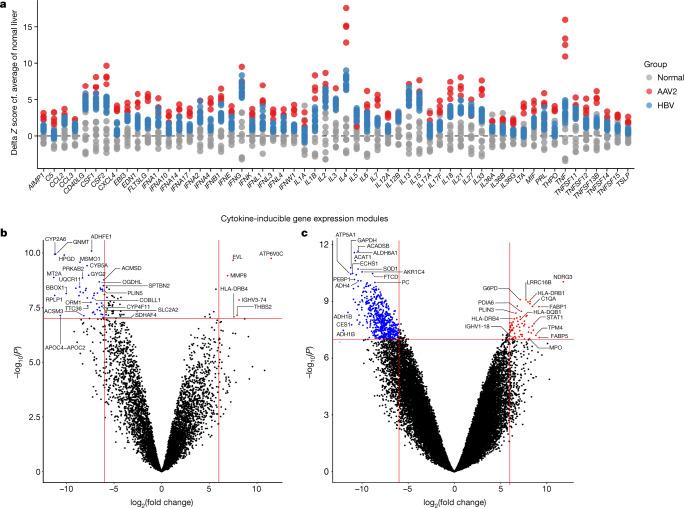 https://cdn.ncbi.nlm.nih.gov/pmc/blobs/fe5e/10191857/555e04f4a733/41586_2023_6003_Fig4_HTML.jpg