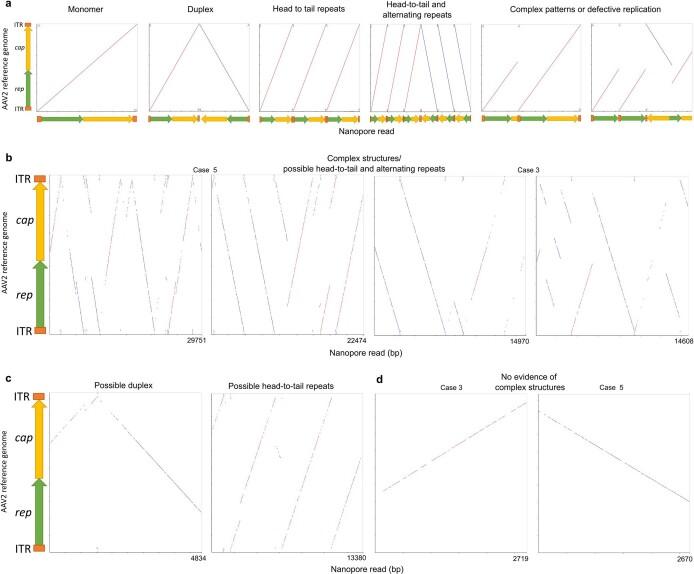 https://cdn.ncbi.nlm.nih.gov/pmc/blobs/fe5e/10191857/67a5dac97673/41586_2023_6003_Fig6_ESM.jpg
