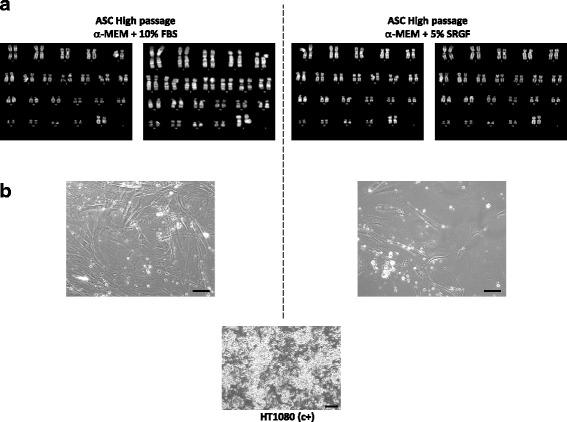 https://cdn.ncbi.nlm.nih.gov/pmc/blobs/fe61/5948766/4dfc66e4b630/13287_2018_886_Fig8_HTML.jpg