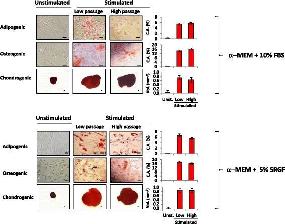 https://cdn.ncbi.nlm.nih.gov/pmc/blobs/fe61/5948766/f1f8c812e14f/13287_2018_886_Fig7_HTML.jpg