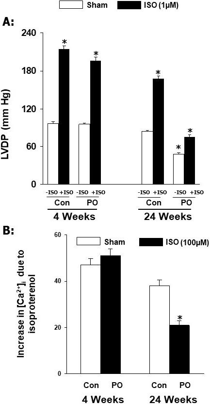 https://cdn.ncbi.nlm.nih.gov/pmc/blobs/fe62/11270071/8085e22784ad/2153-8174-24-9-264-g3.jpg
