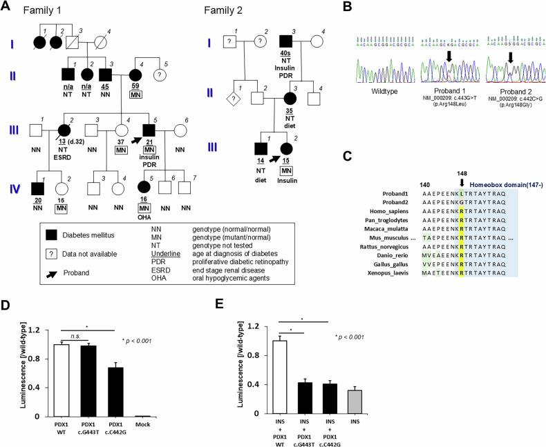 https://cdn.ncbi.nlm.nih.gov/pmc/blobs/fe63/12084518/0e7be7586342/41439_2025_312_Fig1_HTML.jpg