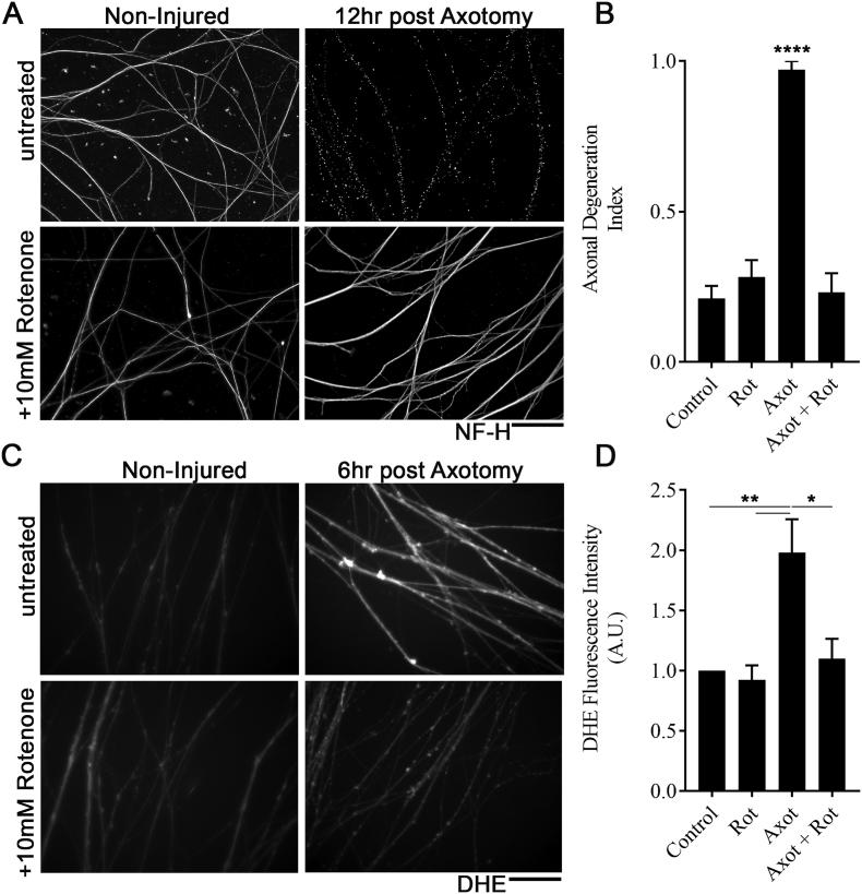 https://cdn.ncbi.nlm.nih.gov/pmc/blobs/fe64/6704473/1a697481d294/gr7.jpg