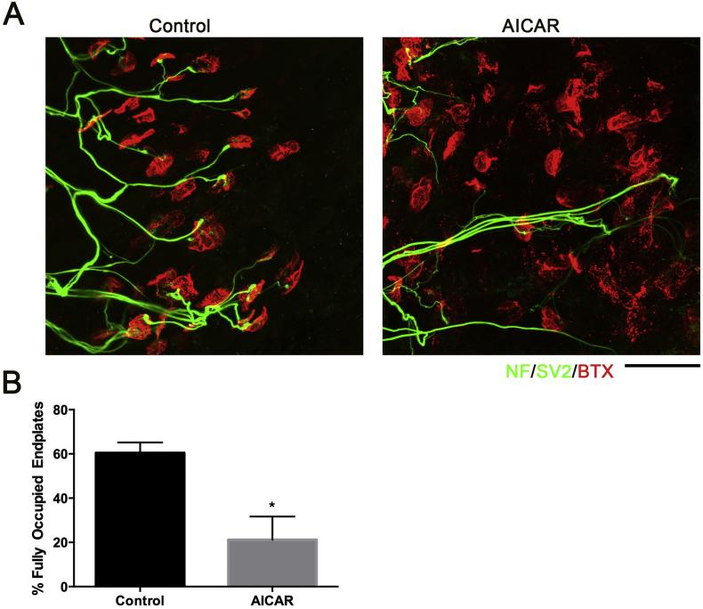 https://cdn.ncbi.nlm.nih.gov/pmc/blobs/fe64/6704473/78a5c076b8fa/gr8.jpg