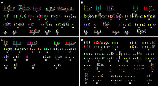 https://cdn.ncbi.nlm.nih.gov/pmc/blobs/fe65/3561653/3f1322e07629/1471-2407-12-367-1.jpg