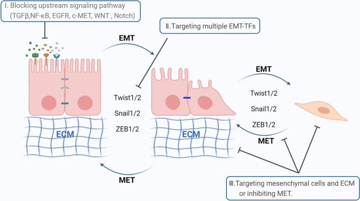https://cdn.ncbi.nlm.nih.gov/pmc/blobs/fe65/9461252/b3d3c344eb4c/13045_2022_1347_Fig5_HTML.jpg