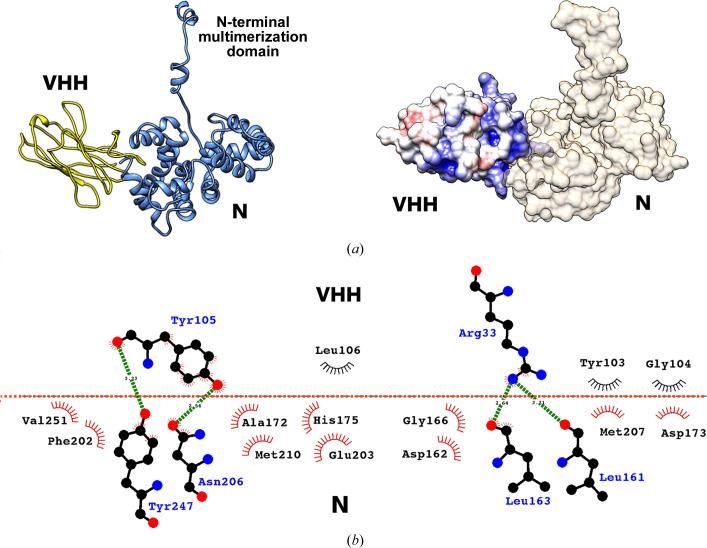 https://cdn.ncbi.nlm.nih.gov/pmc/blobs/fe66/10836398/ad9640543455/d-80-00113-fig1.jpg