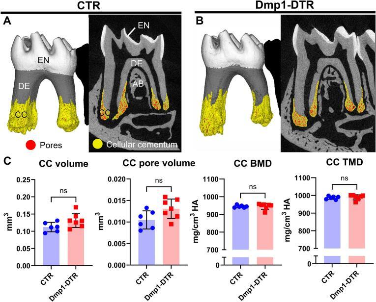 https://cdn.ncbi.nlm.nih.gov/pmc/blobs/fe66/12391567/940362b5e9e1/gr4.jpg