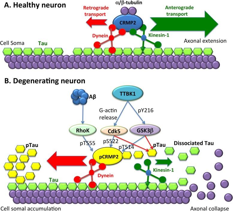 https://cdn.ncbi.nlm.nih.gov/pmc/blobs/fe68/7001309/95dd54e1ec06/40478_2020_890_Fig9_HTML.jpg