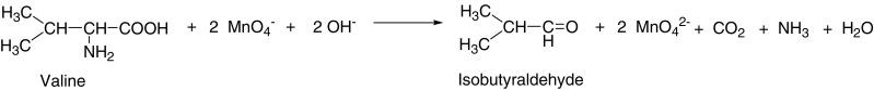 https://cdn.ncbi.nlm.nih.gov/pmc/blobs/fe69/1914281/7975fb30bce7/253_2007_932_Fig4_HTML.jpg