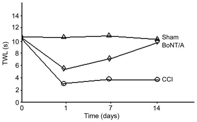 https://cdn.ncbi.nlm.nih.gov/pmc/blobs/fe6b/5450774/d6c2be0e55ad/etm-13-06-2783-g01.jpg