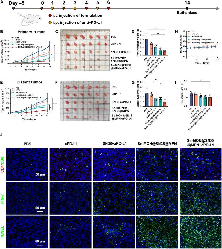 https://cdn.ncbi.nlm.nih.gov/pmc/blobs/fe6d/11409974/06fec1d4ede6/sciadv.adn3002-f6.jpg