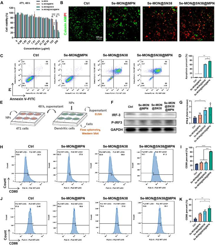 https://cdn.ncbi.nlm.nih.gov/pmc/blobs/fe6d/11409974/6de8ae203399/sciadv.adn3002-f3.jpg