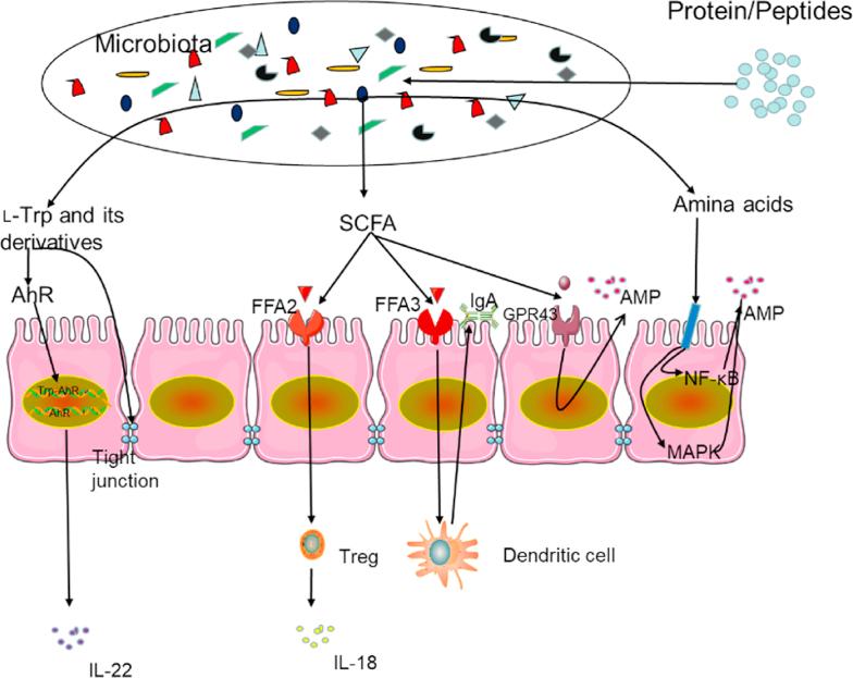 https://cdn.ncbi.nlm.nih.gov/pmc/blobs/fe6d/8110859/50308f79d715/gr2.jpg