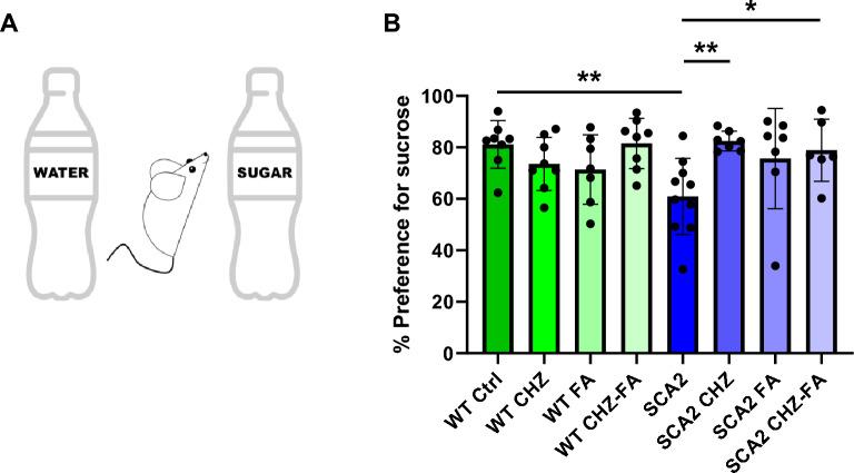 https://cdn.ncbi.nlm.nih.gov/pmc/blobs/fe6f/10400576/5235bcac3d5d/41598_2023_39331_Fig7_HTML.jpg