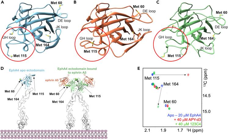 https://cdn.ncbi.nlm.nih.gov/pmc/blobs/fe6f/9404653/13ec5ad7b482/gr1.jpg