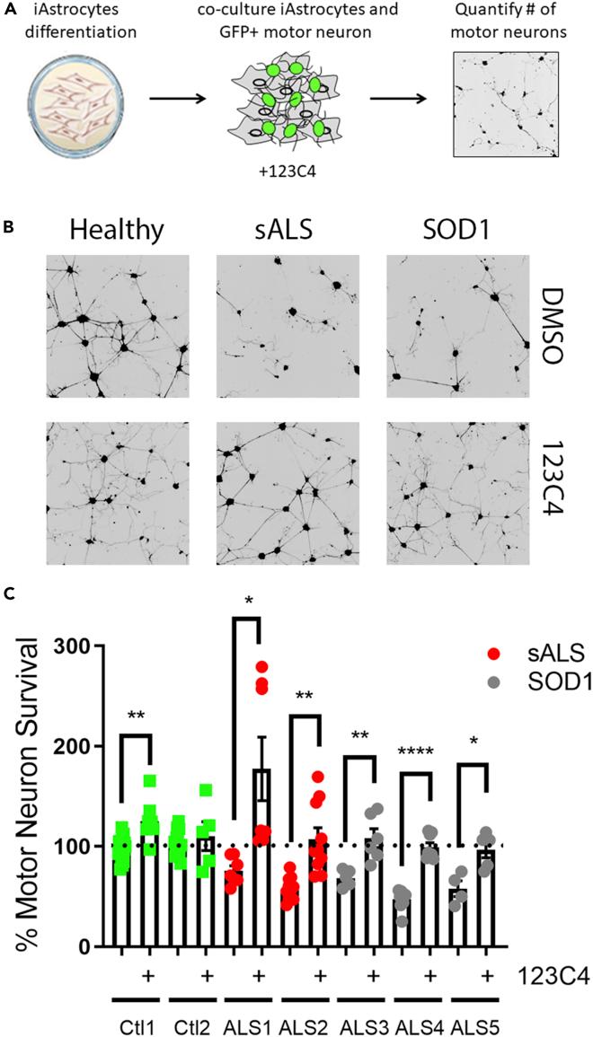https://cdn.ncbi.nlm.nih.gov/pmc/blobs/fe6f/9404653/fd456d68a555/gr5.jpg