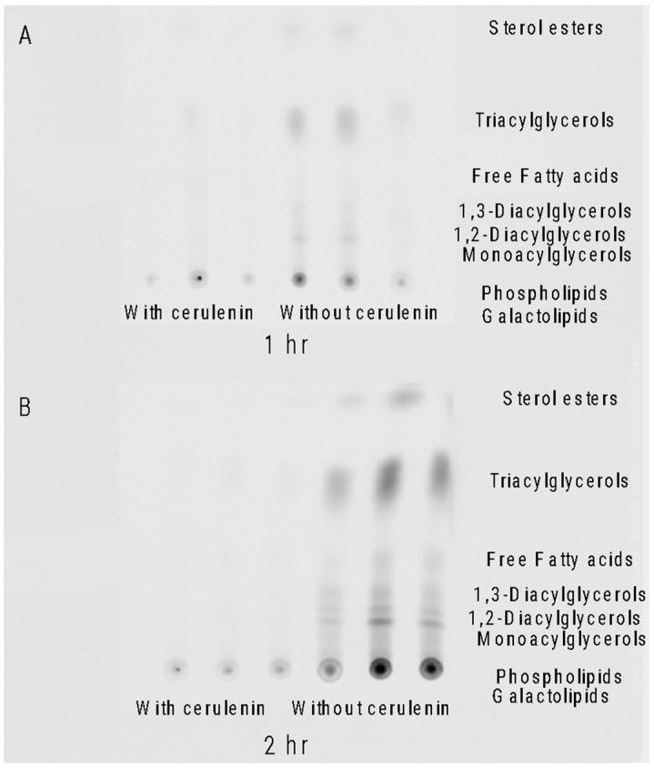 https://cdn.ncbi.nlm.nih.gov/pmc/blobs/fe71/10455422/61efd9d3e1b7/marinedrugs-21-00425-g004.jpg