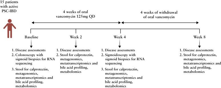 https://cdn.ncbi.nlm.nih.gov/pmc/blobs/fe71/11831226/5bc0b93f6174/jjae189_fig1.jpg