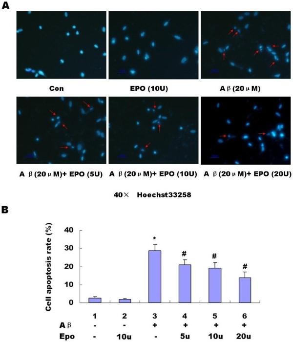 https://cdn.ncbi.nlm.nih.gov/pmc/blobs/fe72/3514084/ed9c93e967af/2047-9158-1-7-4.jpg