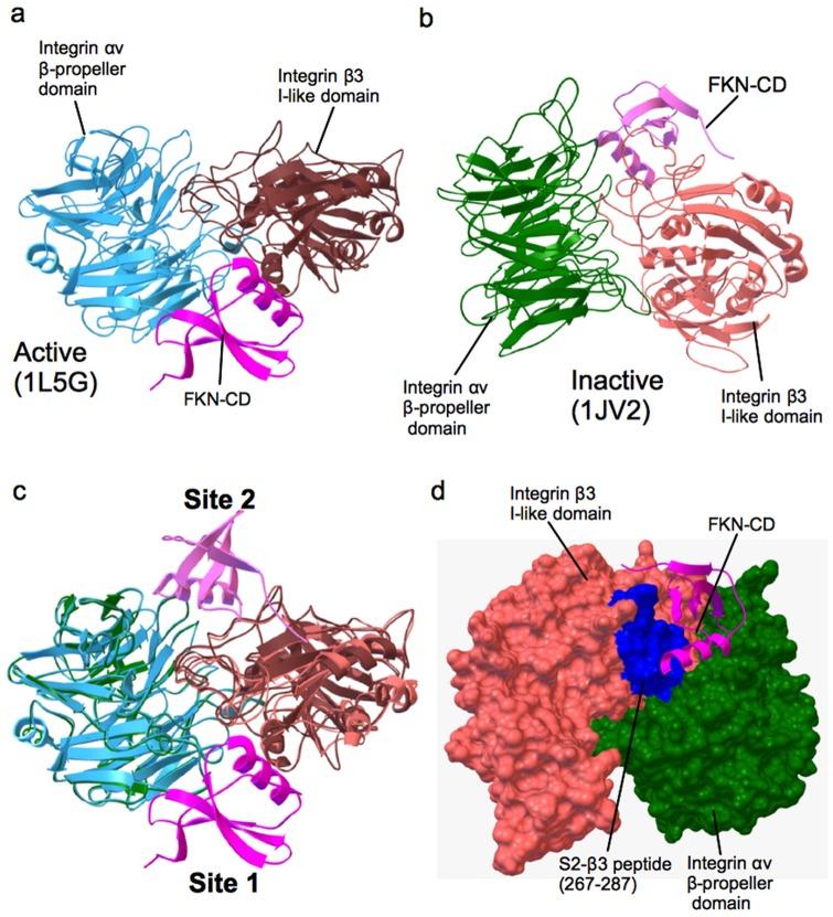 https://cdn.ncbi.nlm.nih.gov/pmc/blobs/fe77/4008574/1784757b6411/pone.0096372.g003.jpg