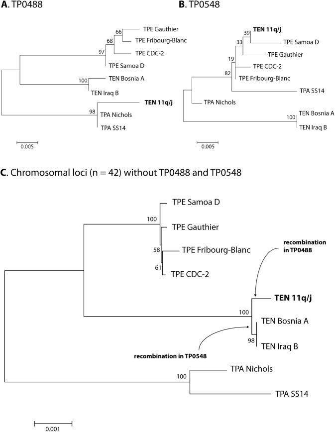 https://cdn.ncbi.nlm.nih.gov/pmc/blobs/fe79/5354452/cc25329295f6/pntd.0005434.g003.jpg